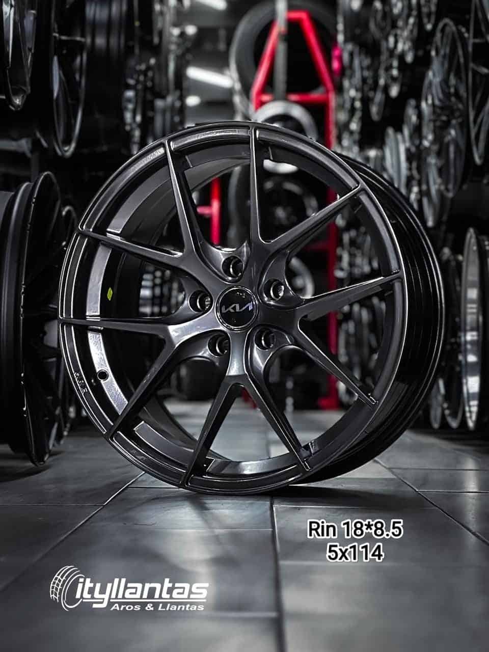 Aro RAYS R18 - 8.5" (5X114)