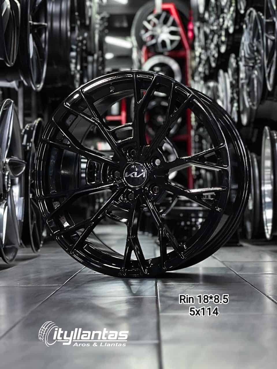 Aro RAYS R18 - 8.5" (5X114)